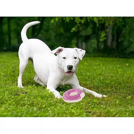 Toy for dog cat rubber squeaker chew rubber bud squeaker