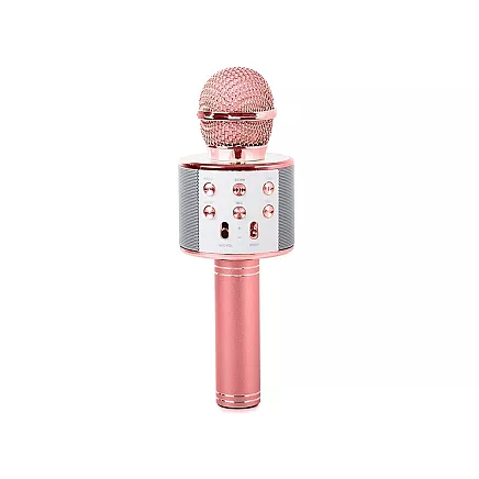 Wireless microphone bluetooth karaoke speaker round with case various modes
