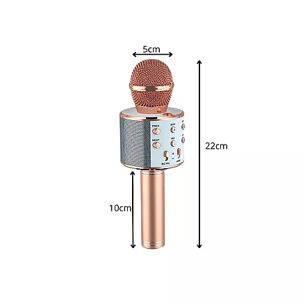 Wireless microphone bluetooth karaoke speaker round with case various modes