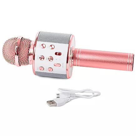 Wireless microphone bluetooth karaoke speaker round with case various modes