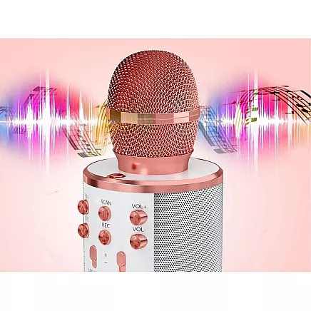 Wireless microphone bluetooth karaoke speaker round with case various modes