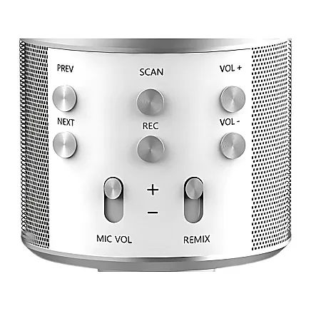 Wireless microphone bluetooth karaoke speaker round with case various modes