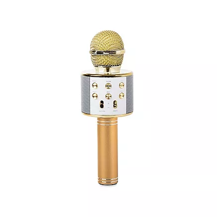 Bezvadu karaoke mikrofons ar Bluetooth skaļruni, atbalss efektu un maciņu