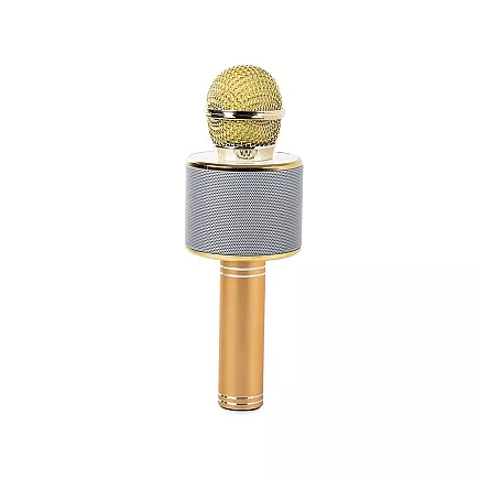 Bezvadu karaoke mikrofons ar Bluetooth skaļruni, atbalss efektu un maciņu