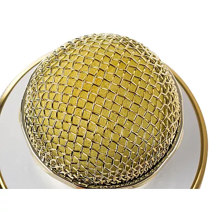 Bezvadu karaoke mikrofons ar Bluetooth skaļruni, atbalss efektu un maciņu