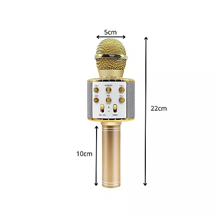 Bezvadu karaoke mikrofons ar Bluetooth skaļruni, atbalss efektu un maciņu