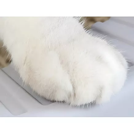 Open litter tray large solid with paddle and high rim