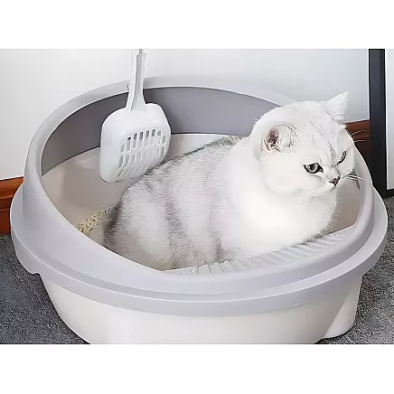 Open litter tray large solid with paddle and high rim