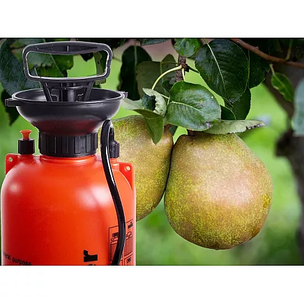 PRESSURE SPRAYER GARDEN HAND SPRAYER LONG LANCE 5L BELT