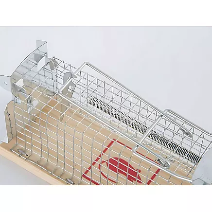 Humane rat trap large metal cage xl