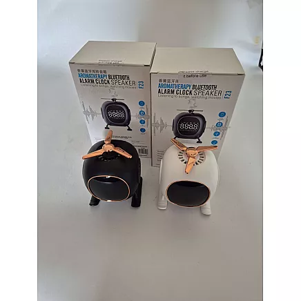 BLUETOOTH SPEAKER (20)