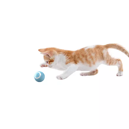 Toy for cat dog escaping ball led vibration electric usb ball