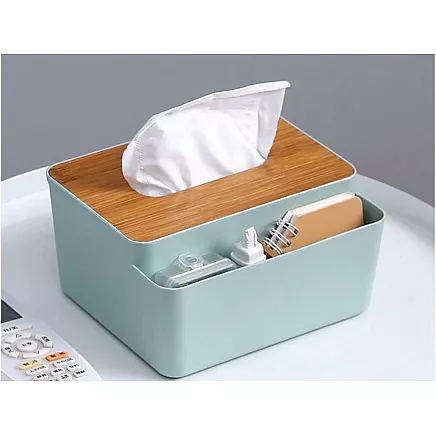 Audu kaste ar organizatoru