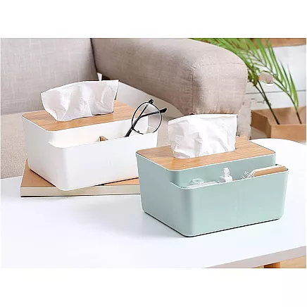 Audu kaste ar organizatoru