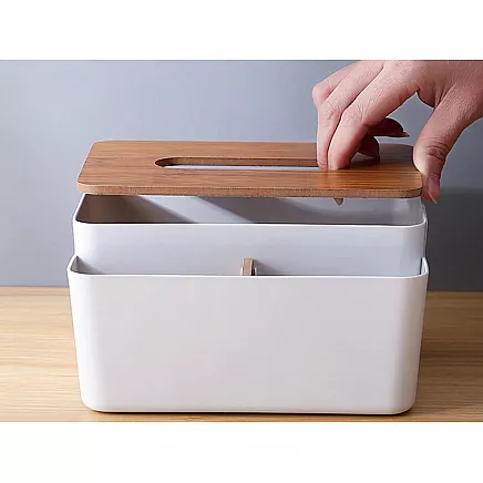 Audu kaste ar organizatoru