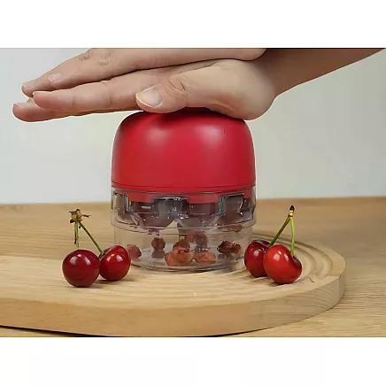 Cherry, sweet cherry and olive pitter with container, manual seed extractor