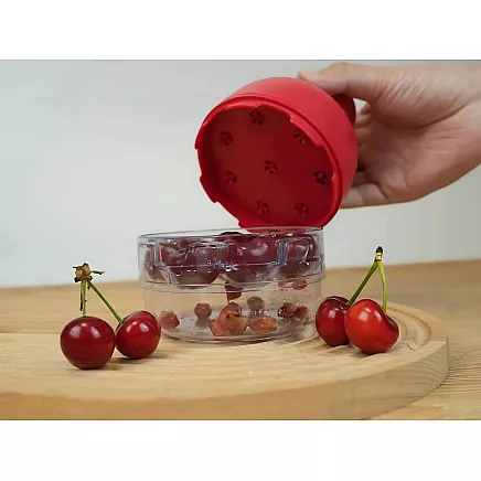 Cherry, sweet cherry and olive pitter with container, manual seed extractor