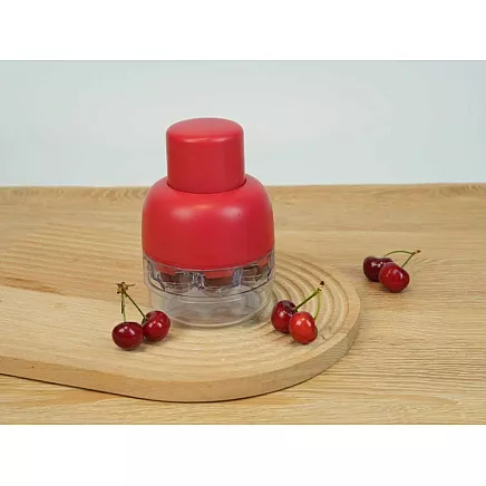 Cherry, sweet cherry and olive pitter with container, manual seed extractor