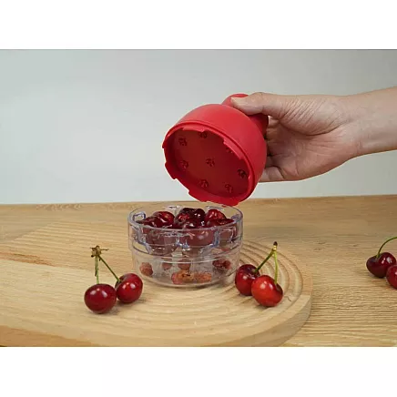 Cherry, sweet cherry and olive pitter with container, manual seed extractor
