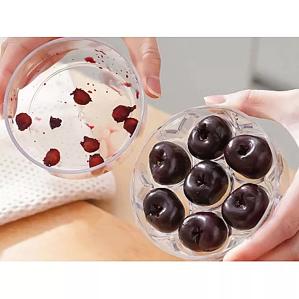 Cherry, sweet cherry and olive pitter with container, manual seed extractor