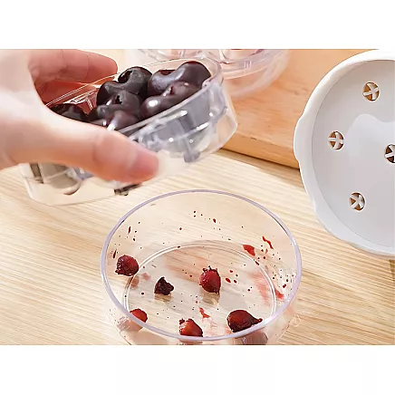 Cherry, sweet cherry and olive pitter with container, manual seed extractor