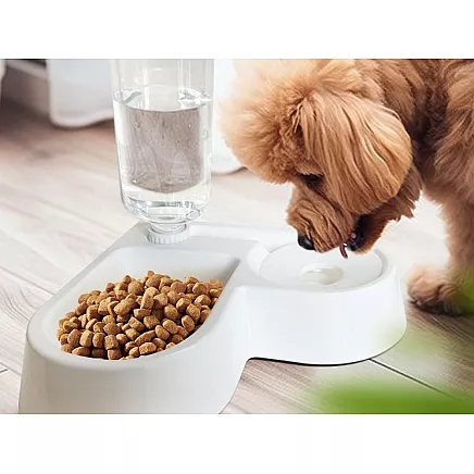 2in1 double food and water bowl with 500 ml reservoir for a dog cat