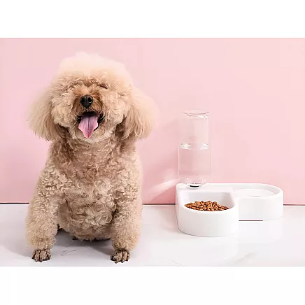 2in1 double food and water bowl with 500 ml reservoir for a dog cat