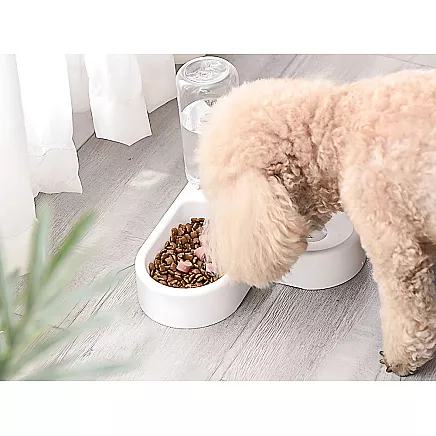 2in1 double food and water bowl with 500 ml reservoir for a dog cat