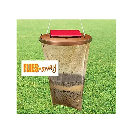 Insect trap attracting mosquitoes flies wasps insects