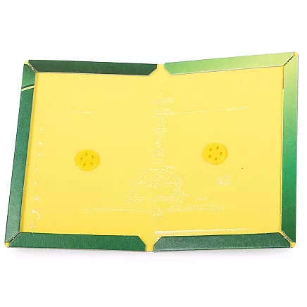Glue trap mouse trap 24cm