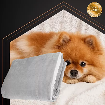 Double-sided blanket 150x200cm light gray Ruhhy 26293