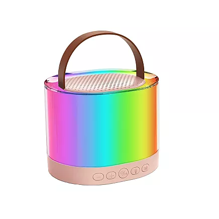 Karaoke set 2x wireless microphone portable bluetooth speaker rgb
