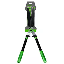 ATZAROŠANAS ŠĶĒRES (24)