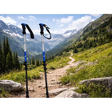 ТРЕККИНГОВЫЕ ПАЛКИ ДЛЯ СЕВЕРНОЙ ХОДЬБЫ VERK GROUP НАКОНЕЧНИКИ ЧЕХОЛ