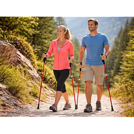 ТРЕККИНГОВЫЕ ПАЛКИ ДЛЯ СКАНДИНАВСКОЙ ХОДЬБЫ VERK GROUP В КОМПЛЕКТЕ С ЧЕХЛОМ