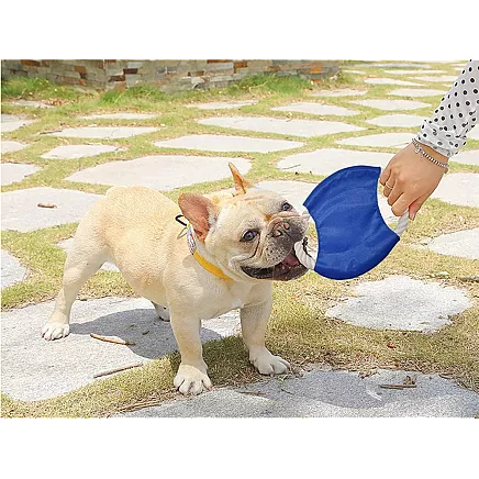 Dog toy chew tug rope frisbee disc