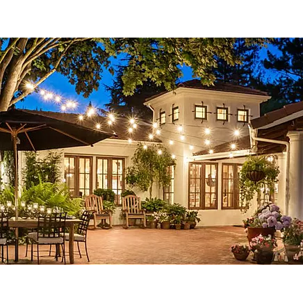 Garden garland light chain 20 led lights