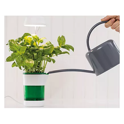 Plant growth panel lamp 6 led 4 uv self watering pot