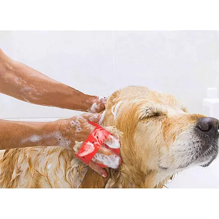 Mīksta masāžas suka suņiem un kaķiem spalvas kopšanai, sarkana